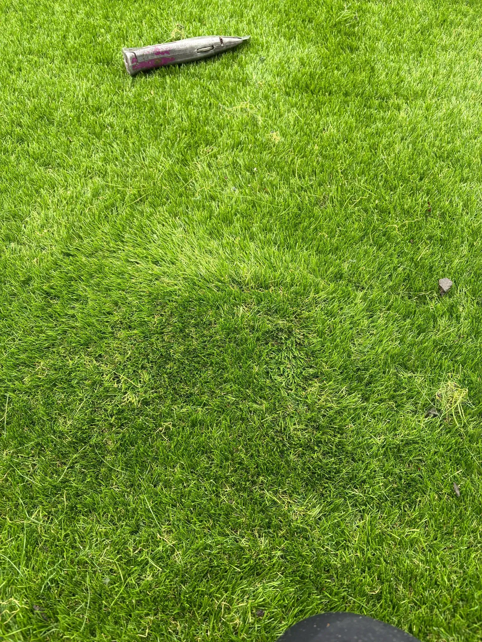 A baseball bat laying on top of a lush green field.
