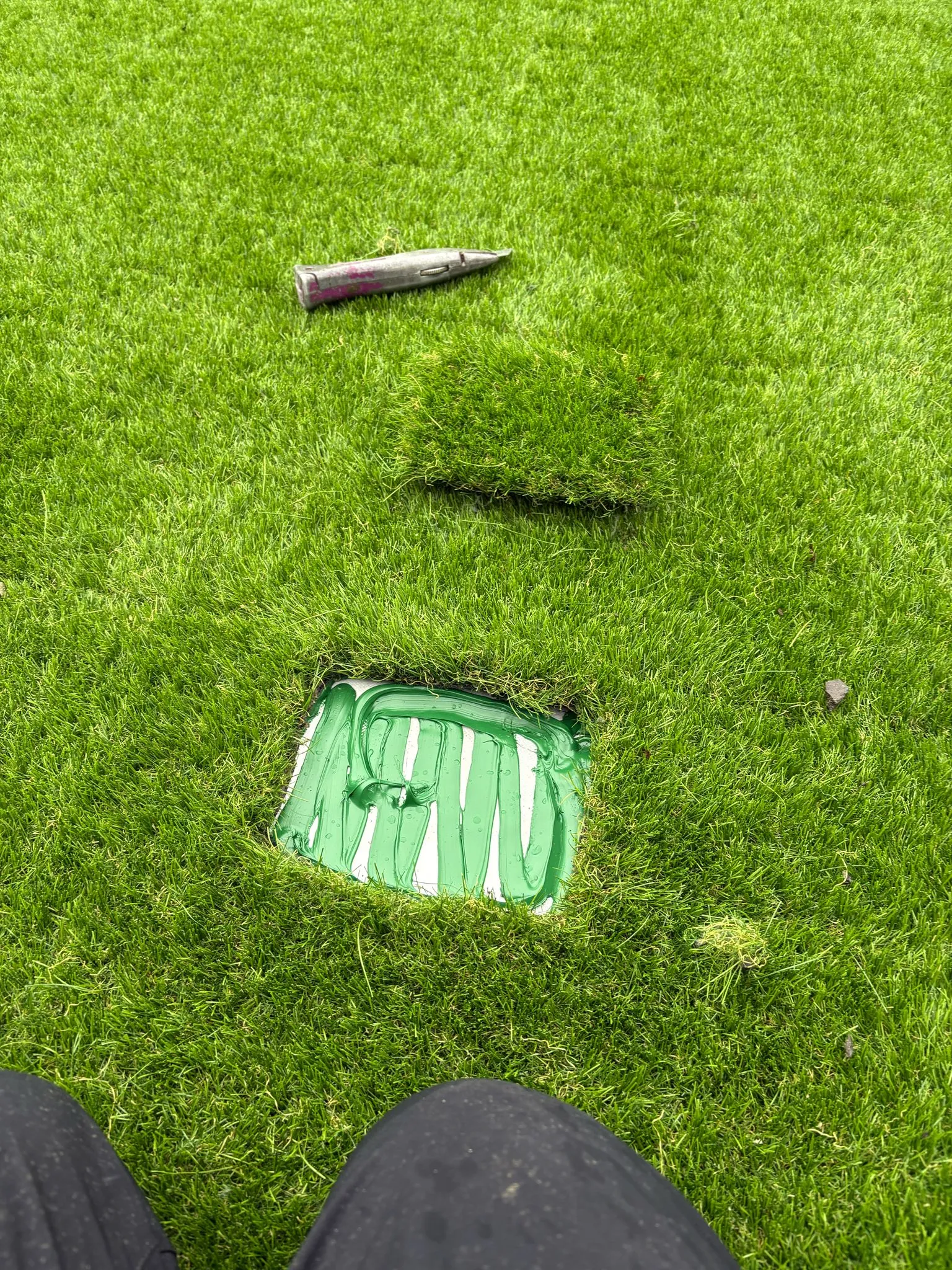 A person standing in the grass near a hole in the ground.